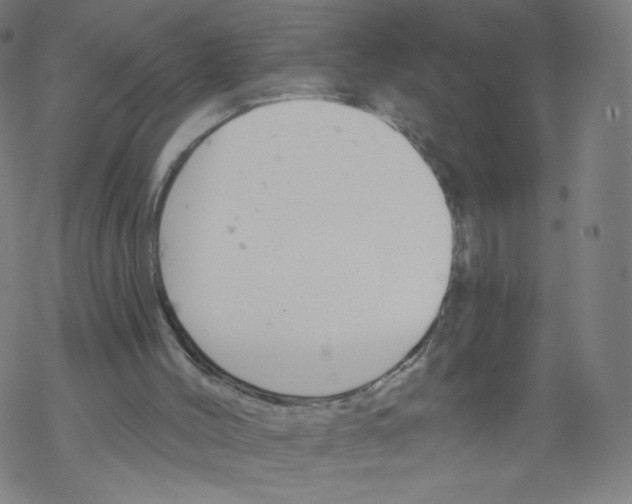 X0000067510004200605051841