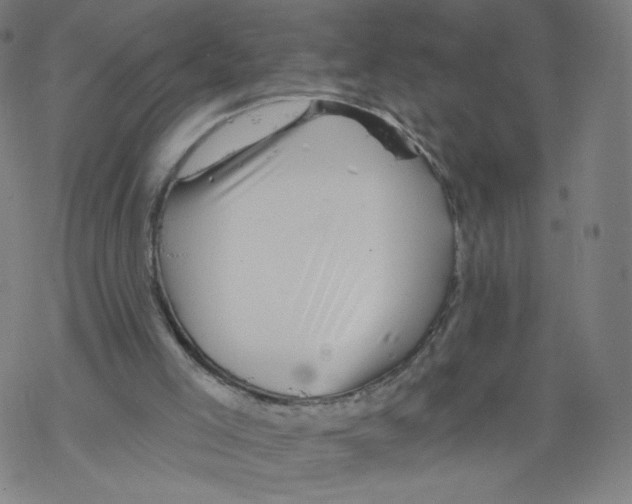 X0000067510005200605051841