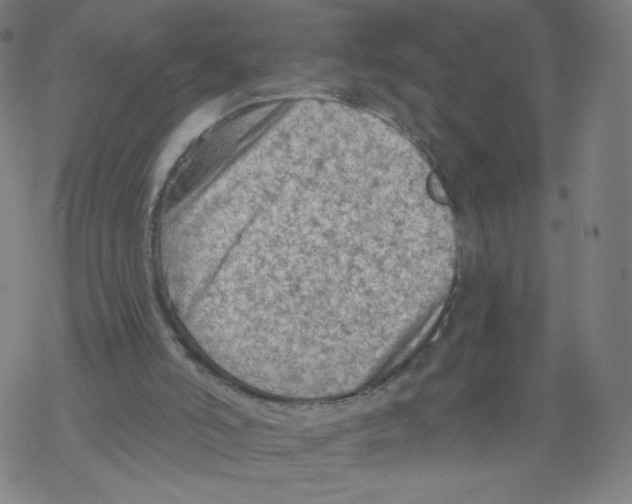 X0000067510006200605051841