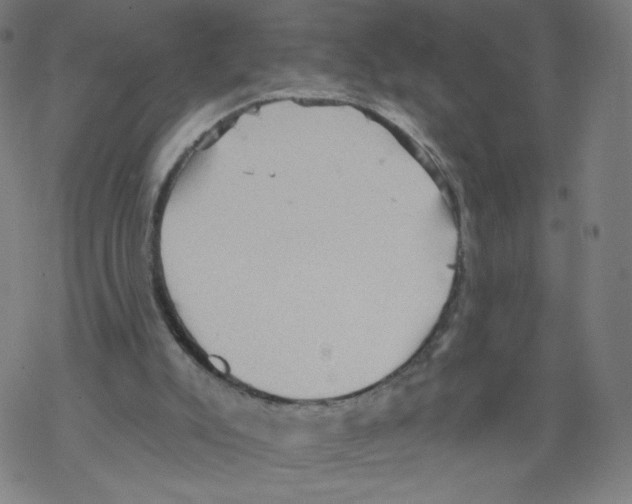 X0000067510007200605051841