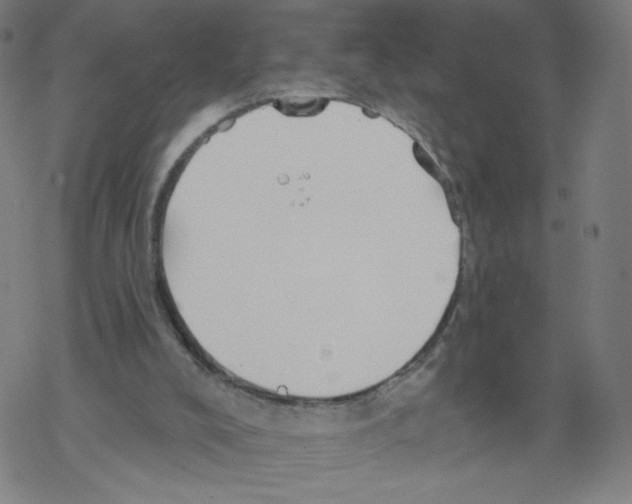 X0000067510008200605051841