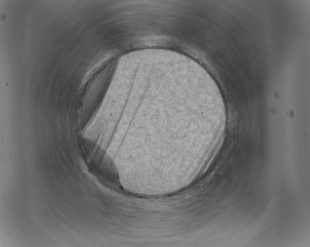 X0000067510010200605051841