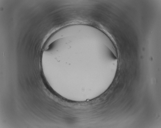 X0000067510011200605051841