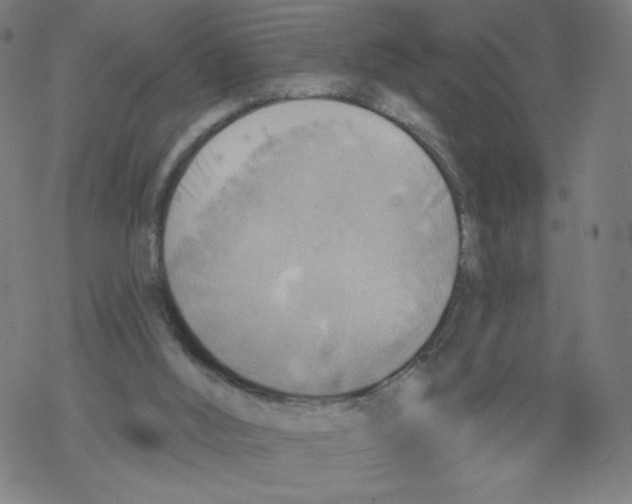 X0000067510012200605051841