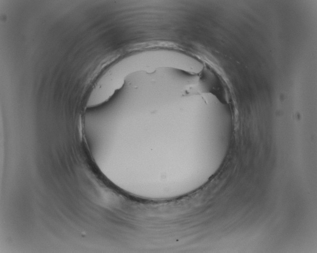 X0000067510013200605051841