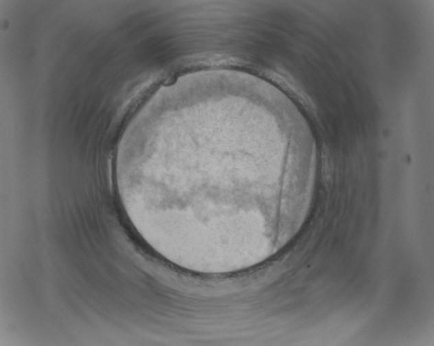 X0000067510014200605051841