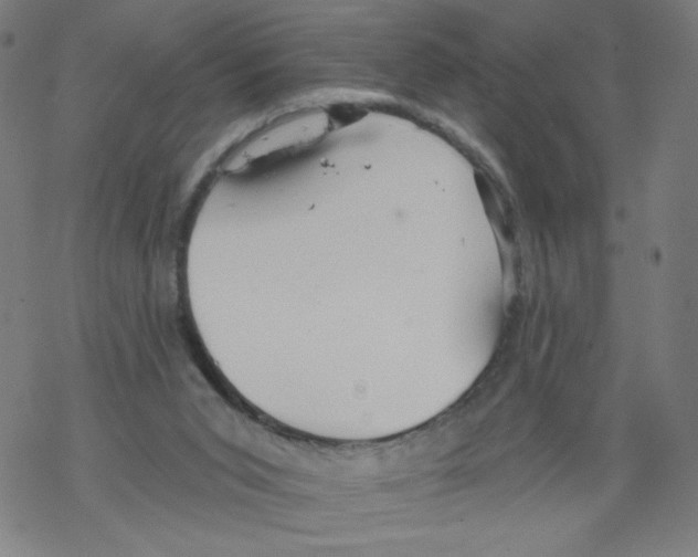 X0000067510015200605051841