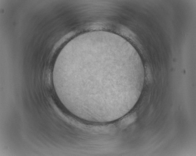 X0000067510016200605051841