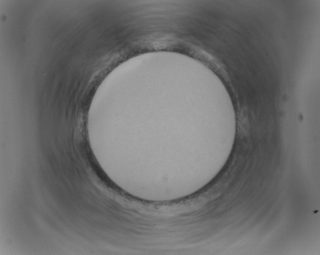 X0000067510018200605051840