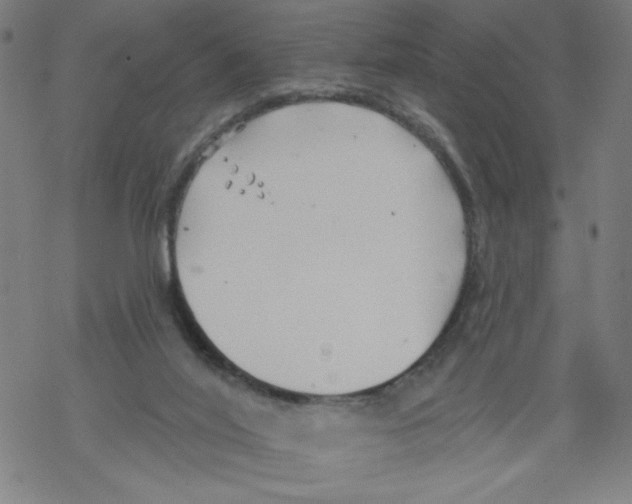 X0000067510020200605051840