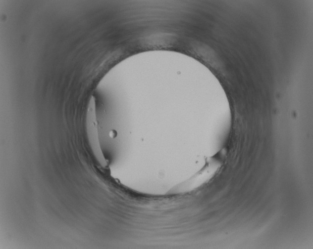 X0000067510021200605051840