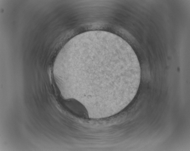 X0000067510022200605051840