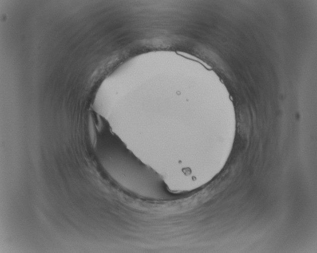 X0000067510023200605051840