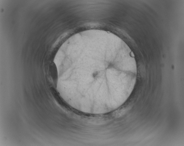 X0000067510024200605051840