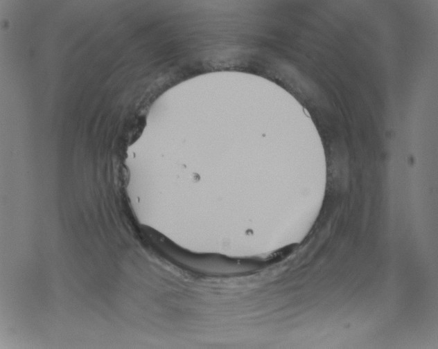 X0000067510025200605051840