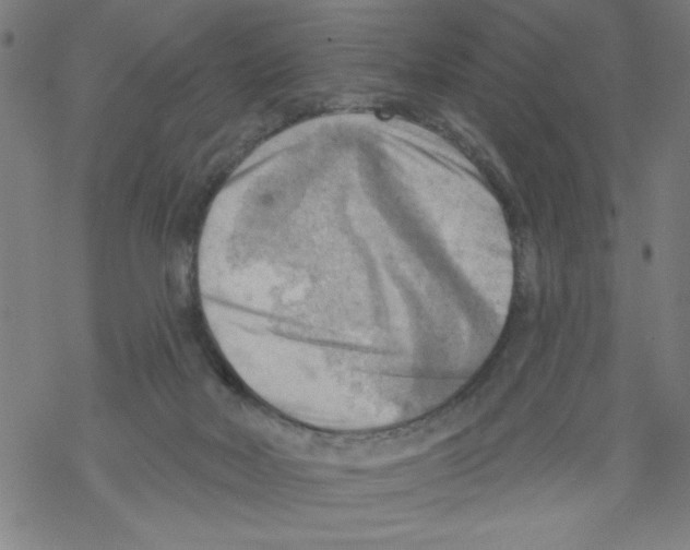 X0000067510026200605051840