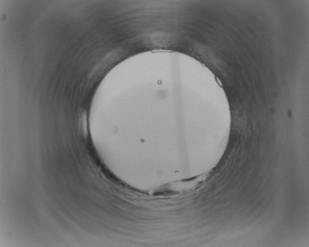 X0000067510027200605051840