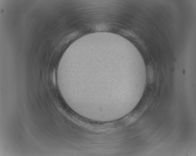 X0000067510028200605051840