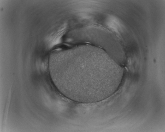 X0000067510033200605051840