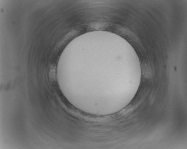 X0000067510036200605051840