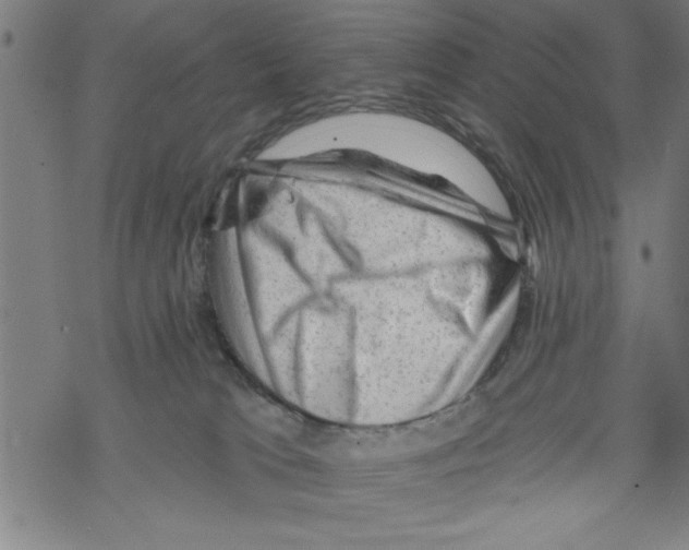 X0000067510037200605051840