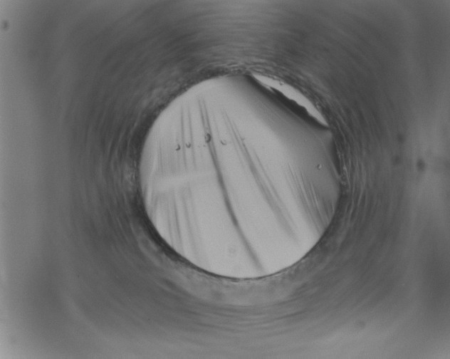 X0000067510039200605051840