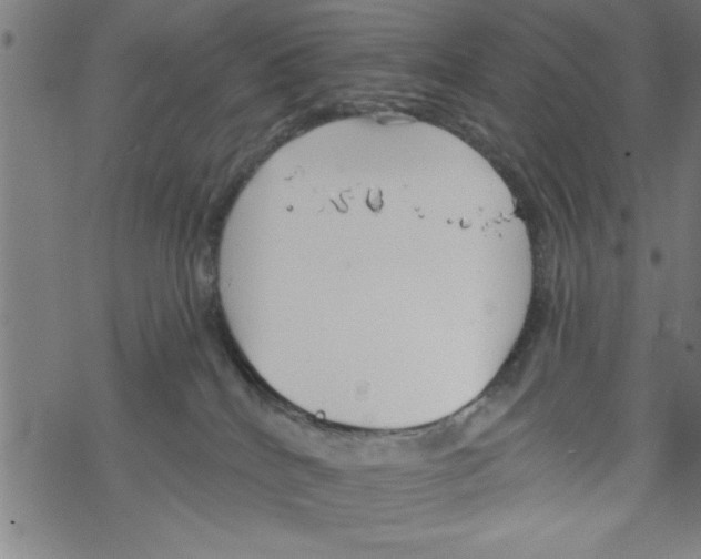 X0000067510040200605051840