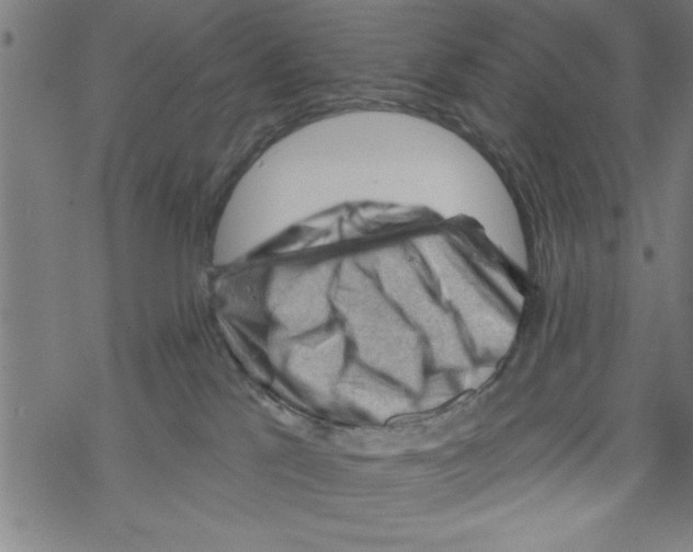 X0000067510041200605051840