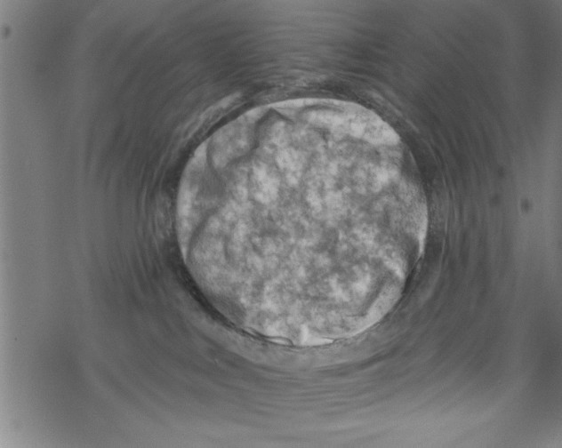 X0000067510043200605051840