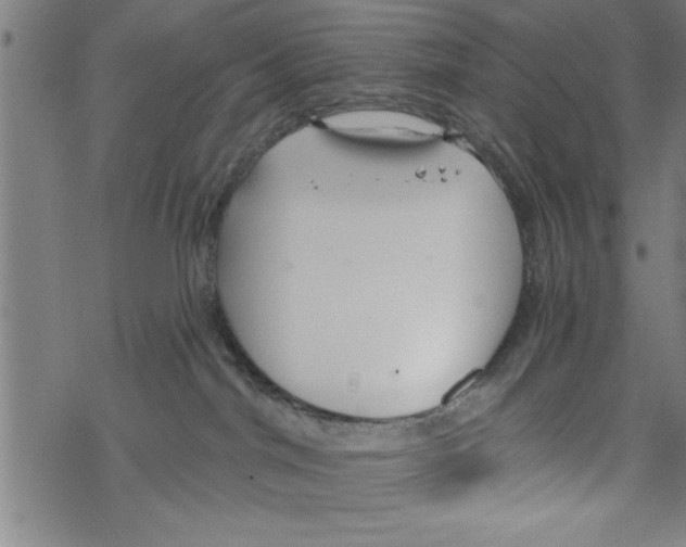 X0000067510044200605051840