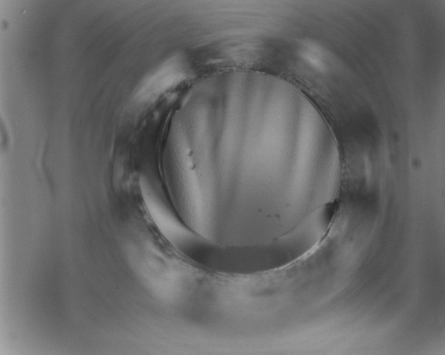 X0000067510045200605051840