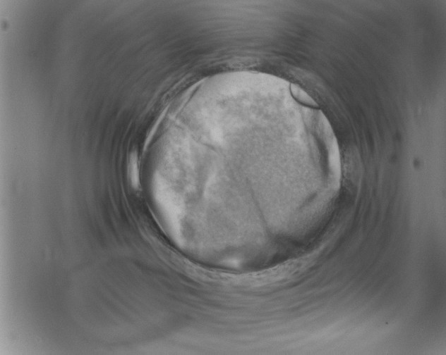 X0000067510046200605051840