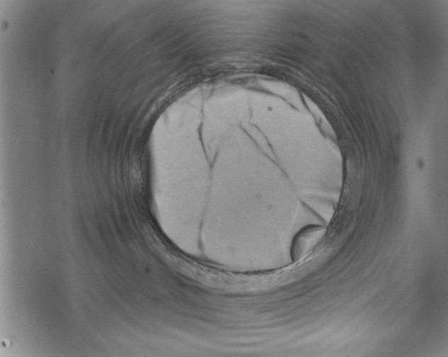 X0000067510048200605051840