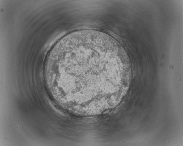 X0000067510050200605051839