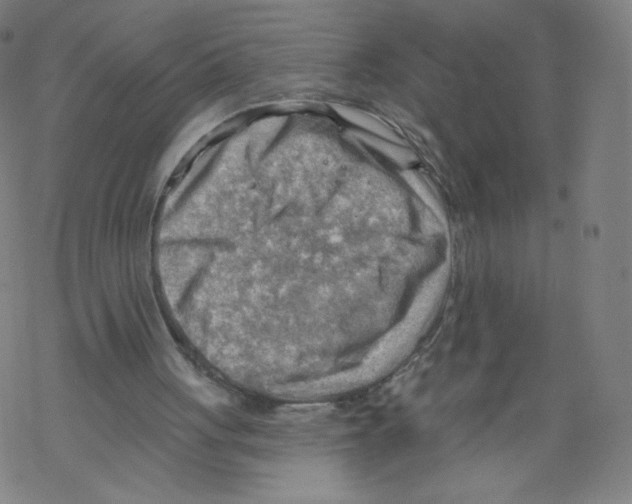 X0000067510051200605051839