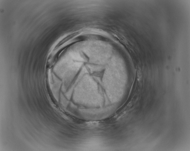 X0000067510052200605051839