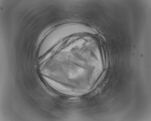 X0000067510053200605051839