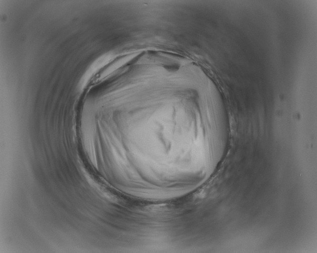 X0000067510054200605051839