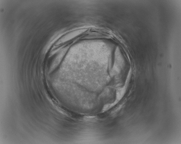 X0000067510055200605051839