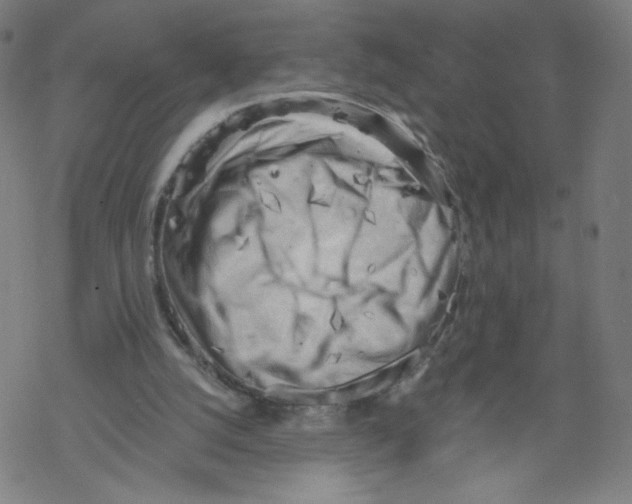 X0000067510056200605051839