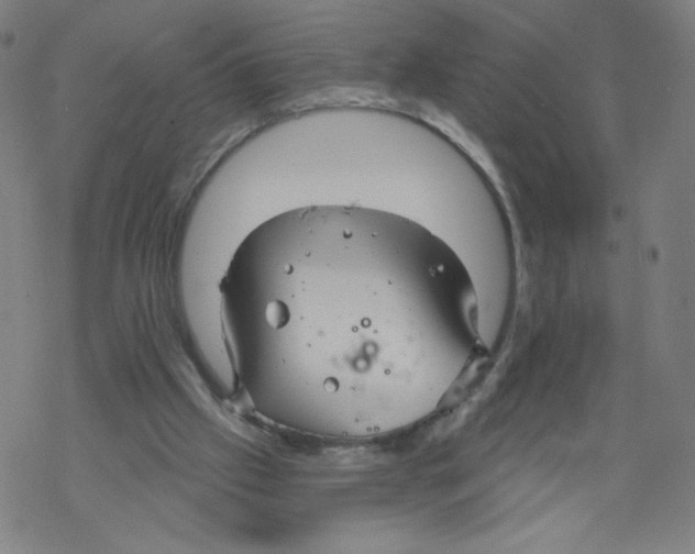 X0000067510057200605051839