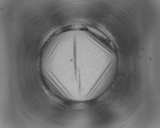 X0000067510058200605051839