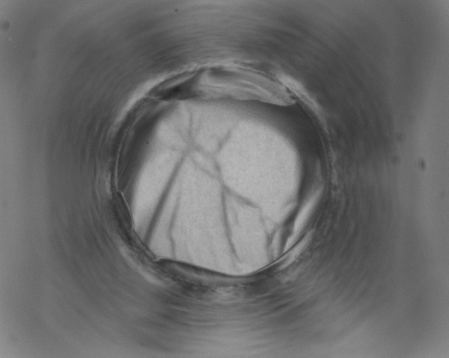 X0000067510060200605051839