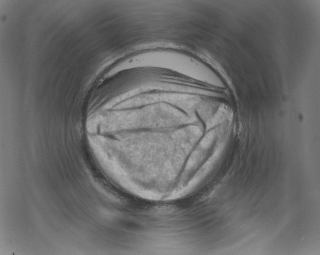 X0000067510063200605051839