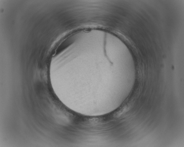 X0000067510064200605051839