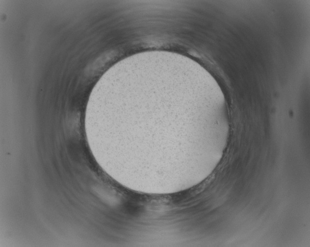 X0000067510066200605051839