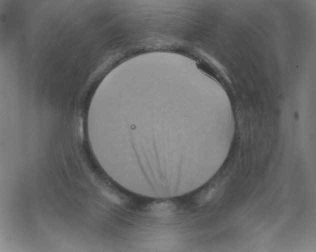 X0000067510067200605051839