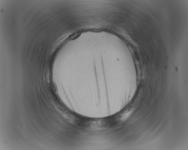 X0000067510068200605051840