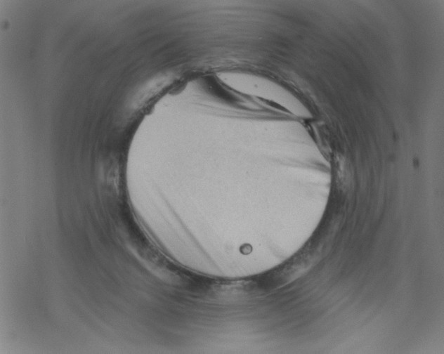 X0000067510072200605051840