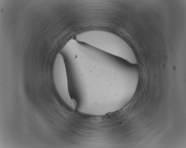 X0000067510074200605051840